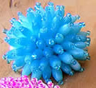 Beads Rings from Bali Indonesia