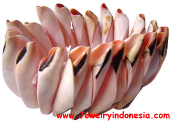Shells Bracelets from Indonesia