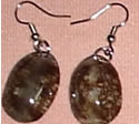 Sea Shell Earrings