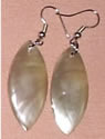 Sea Shell Earrings