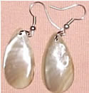 Sea Shell Earrings