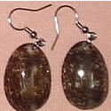Sea Shell Earrings