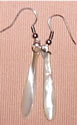 Sea Shell Earrings