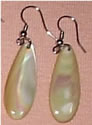 Sea Shell Earrings