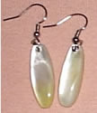 Sea Shell Earrings
