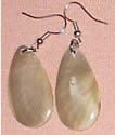 Sea Shell Earrings