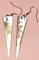 Sea Shell Earrings