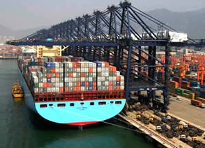 cargo company bali