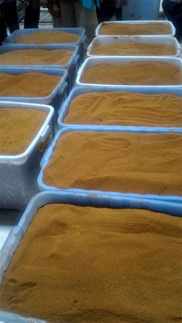 Organic Coconut Sugar from Java Indonesia