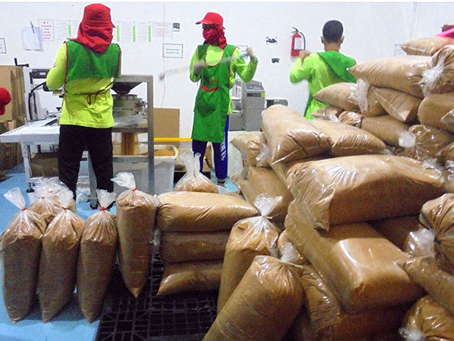 Organic Coconut Sugar from Java Indonesia