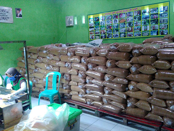 Organic Coconut Sugar from Java Indonesia