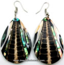  Sea Shell Accessories Earrings Bali