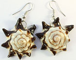 Sea Shell Earrings from Bali Indonesia