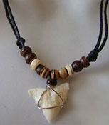 Shark Tooth Necklace from Bali